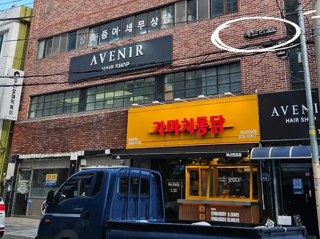 예쁘리 사진 5